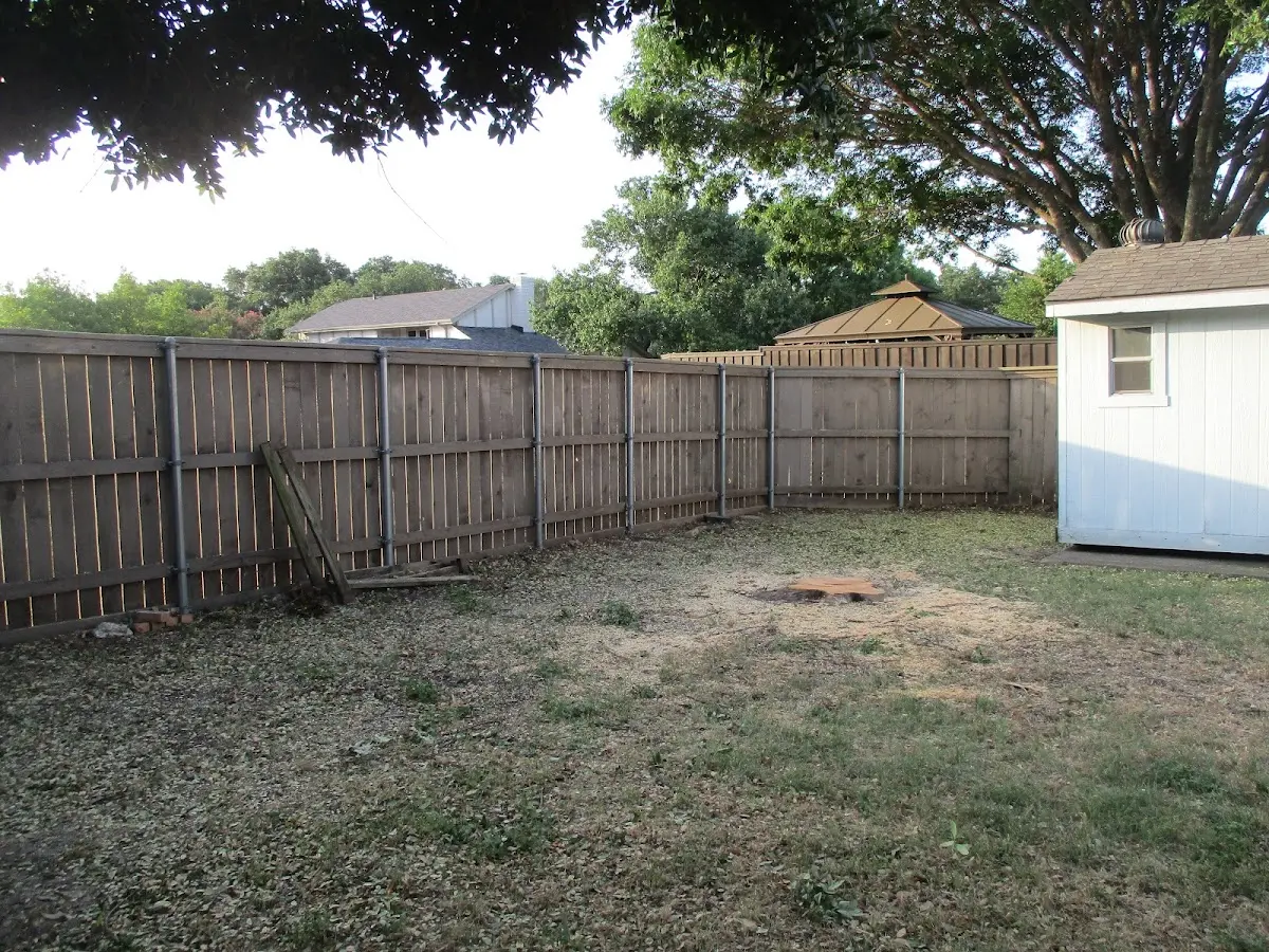 Cleared yard after professional tree removal in Westmont